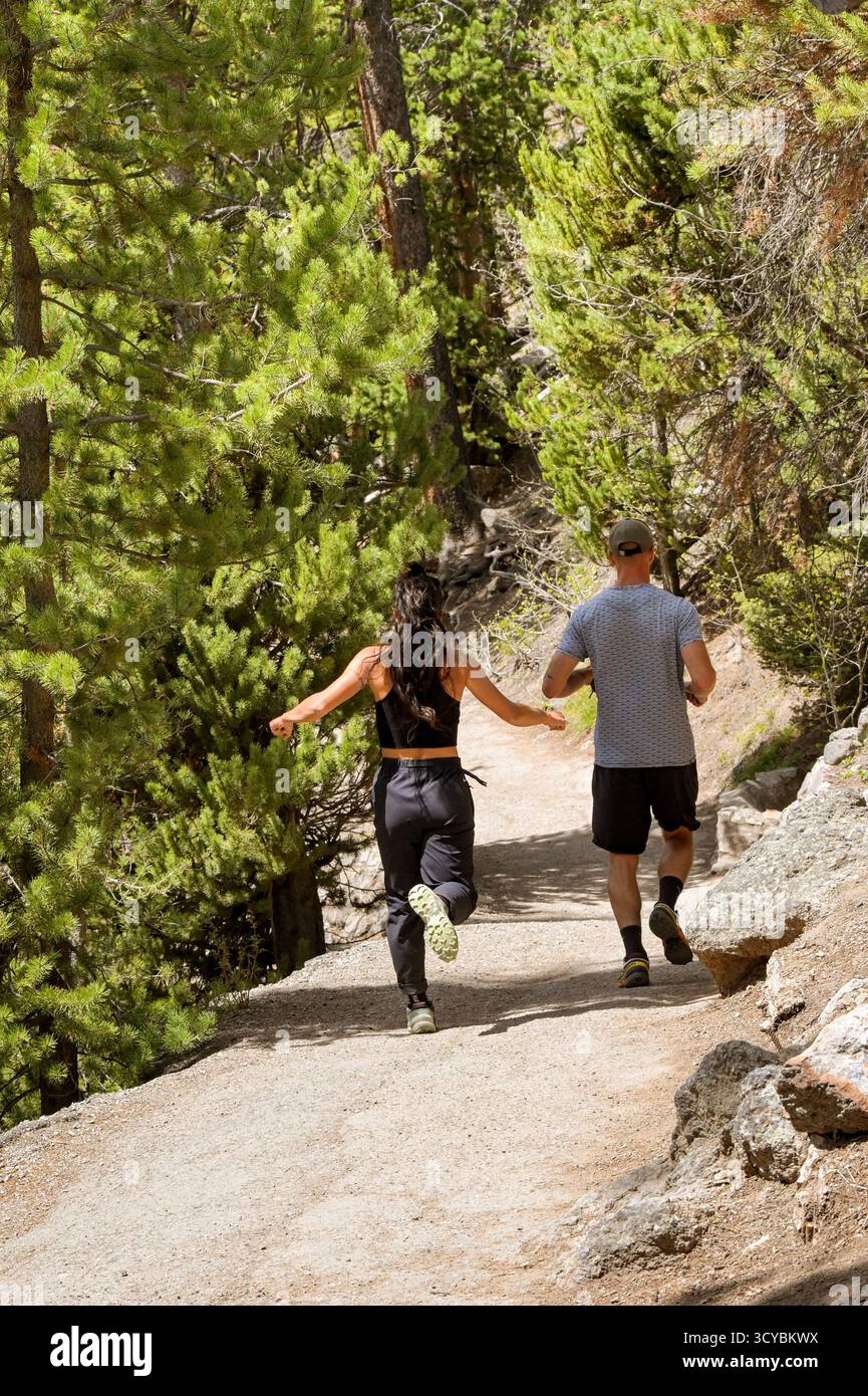 Yellowstone, Wyoming, Stati Uniti d'America - 30 maggio 2025: Due persone che fanno jogging attraverso un'area boscosa su un sentiero di montagna nel Parco Nazionale di Yellowstone. Foto Stock
