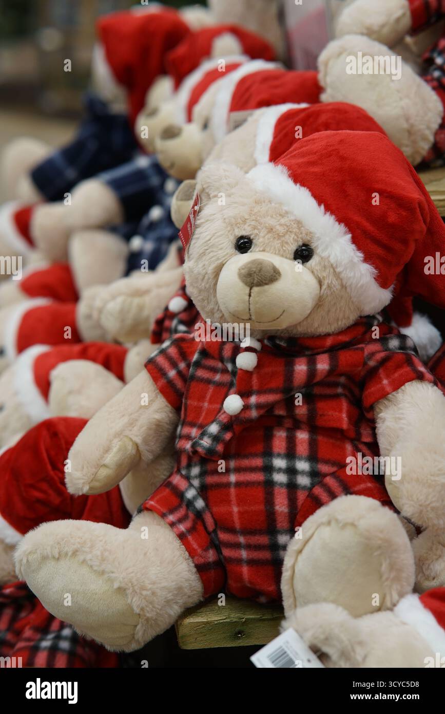 Peluche orsetti in pigiama rosso a quadri e cappelli di Babbo Natale in mostra all'Haskins Garden Centre durante il periodo natalizio. Haskins Garden Centre Foto Stock
