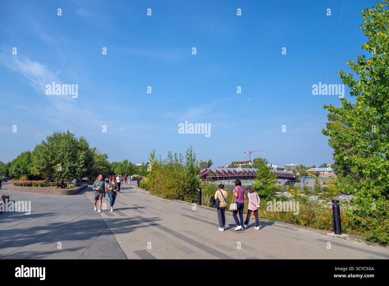 Camminate sul sentiero del fiume Bow a Eau Claire Park guardando verso il Peace Bridge, Calgary, Alberta, Canada Foto Stock