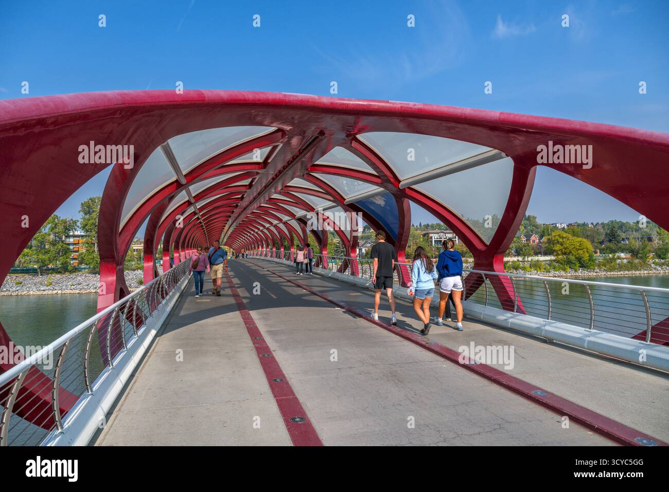 Il Peace Bridge sul fiume Bow a Eau Claire Park, Calgary, Alberta, Canada Foto Stock