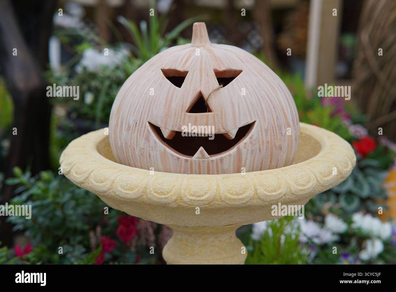 Ornamento in ceramica di zucca Jack-o’-lanterna esposto tra i fiori all’Haskins Garden Centre durante la stagione autunnale. Haskins Garden Centre, Snowhill Foto Stock