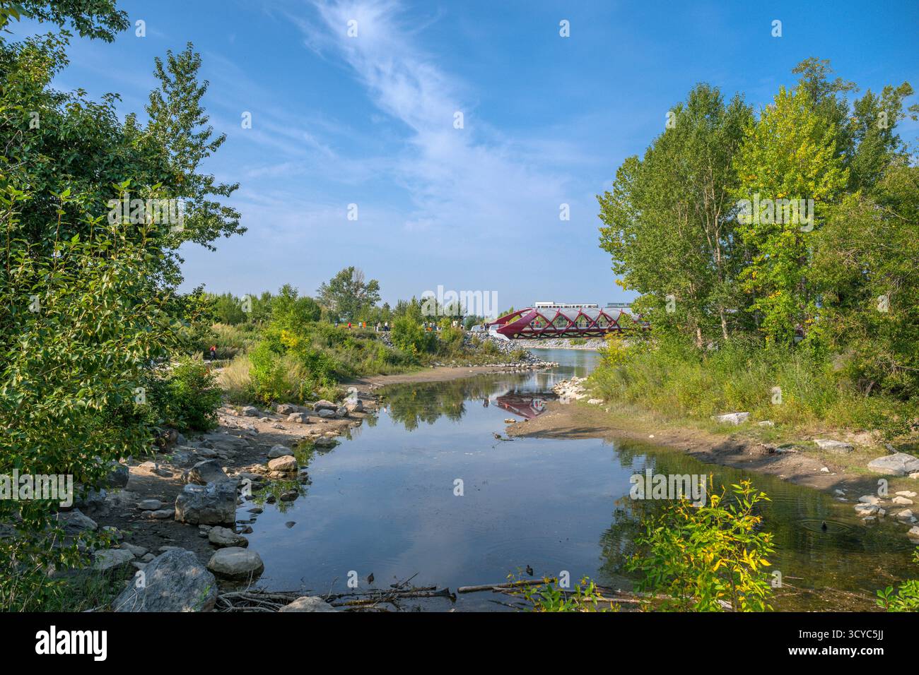 Causeway attraverso il fiume Bow fino a Prince's Island guardando verso il Peace Bridge, Calgary, Alberta, Canada Foto Stock