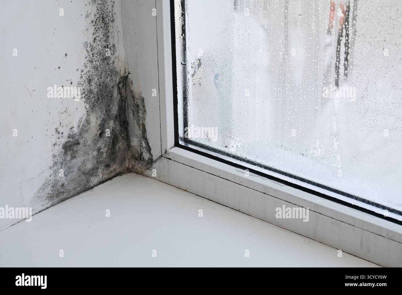 primo piano dell'angolo della finestra ricoperto di stampo, che mostra segni evidenti di danni dovuti all'umidità. il telaio della finestra rivela la crescita della muffa. Vista ravvicinata del decor della finestra ammuffito Foto Stock