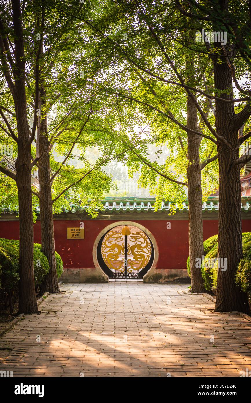Antico cancello del drago dorato al Ritan Park, un parco pubblico situato nel quartiere di Chaoyang, Pechino, Cina. Foto Stock