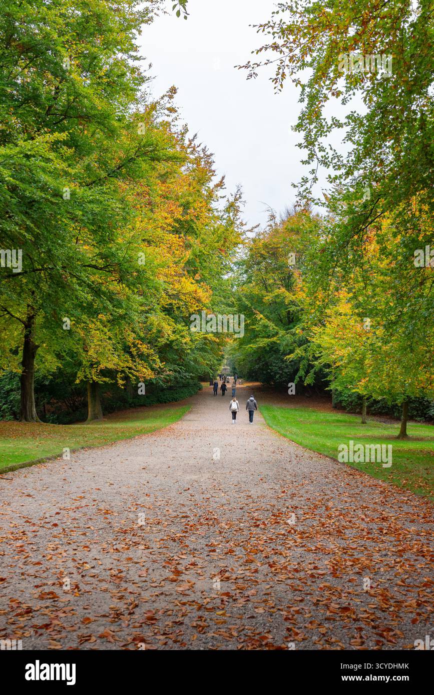 Un caldo autunno nel Regno Unito ha creato colori spettacolari di foglie. Gli alberi vibranti di Tatton Park, Cheshire. Foto Stock