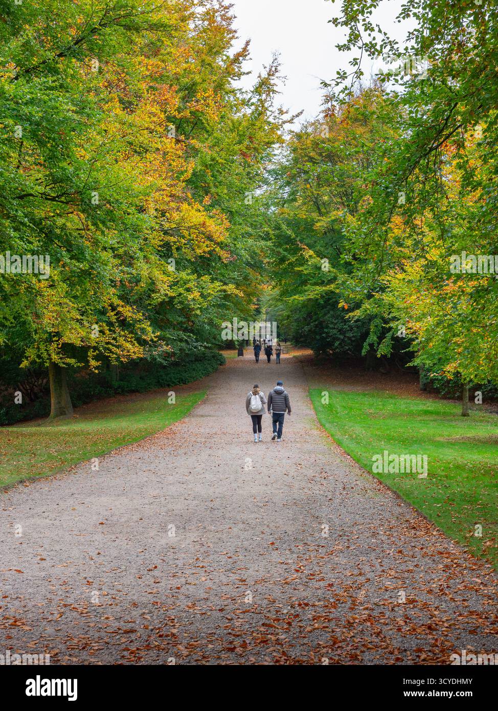 Un caldo autunno nel Regno Unito ha creato colori spettacolari di foglie. Gli alberi vibranti di Tatton Park, Cheshire. Foto Stock