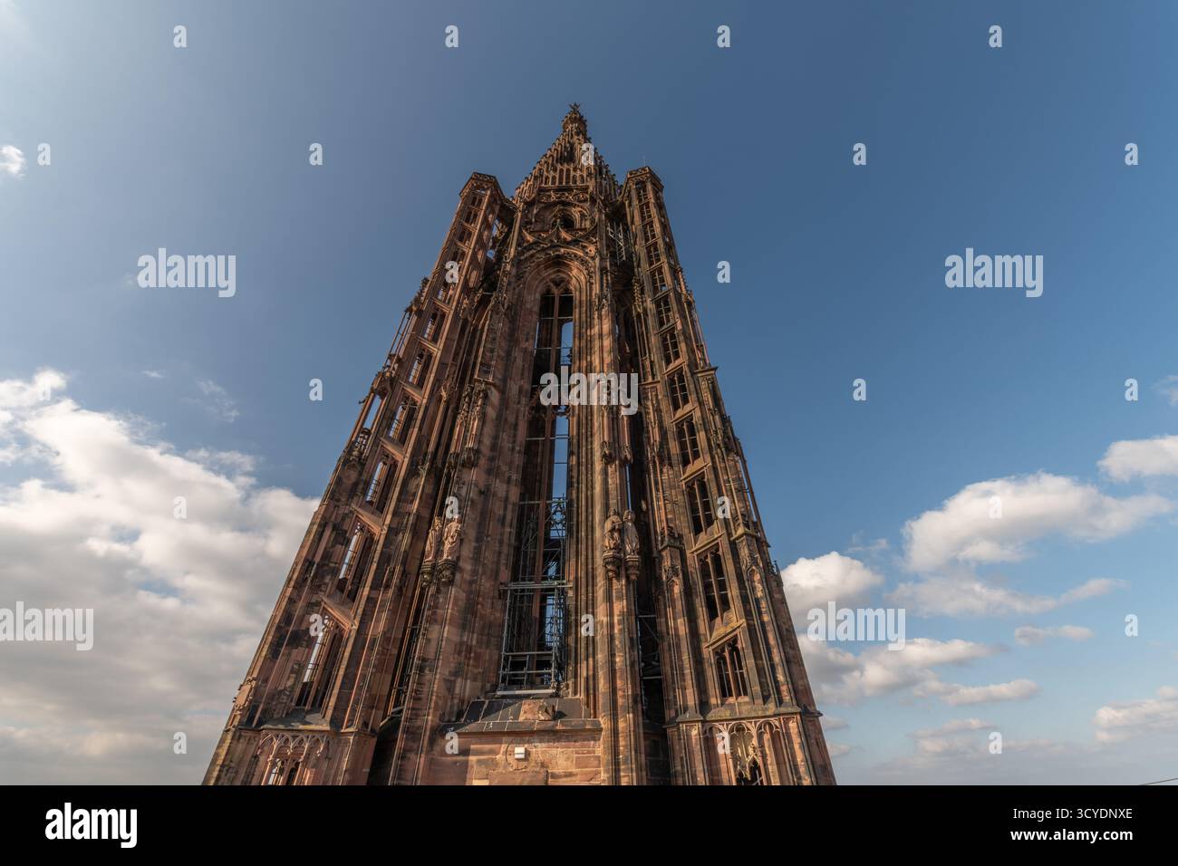 La cattedrale gotica di Strasburgo si erge maestosamente sotto il cielo nuvoloso, aggiungendo un fascino unico alla scena. BAS Rhin, Alsazia, Francia, Europa. Foto Stock