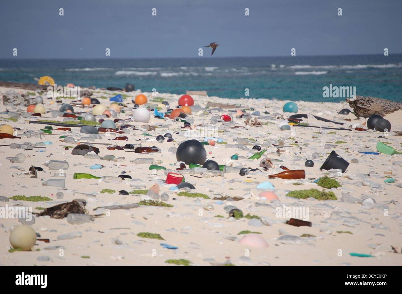 I detriti di plastica e i rifiuti marini lavati a terra coprono la spiaggia di Laysan Island nel Monumento Nazionale Marino di Papahānaumokuākea, Hawaii, mostrando l'impatto ambientale dell'inquinamento oceanico causato dalle correnti della Great Pacific Garbage Patch. Foto Stock