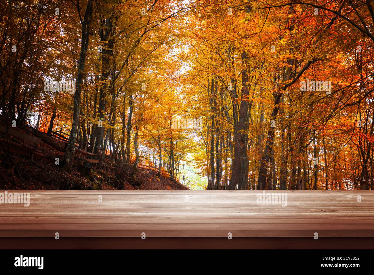 Tavolo in legno di fronte alla colorata foresta autunnale, sfondo perfetto per i design stagionali, la presentazione dei prodotti o le promozioni autunnali Foto Stock