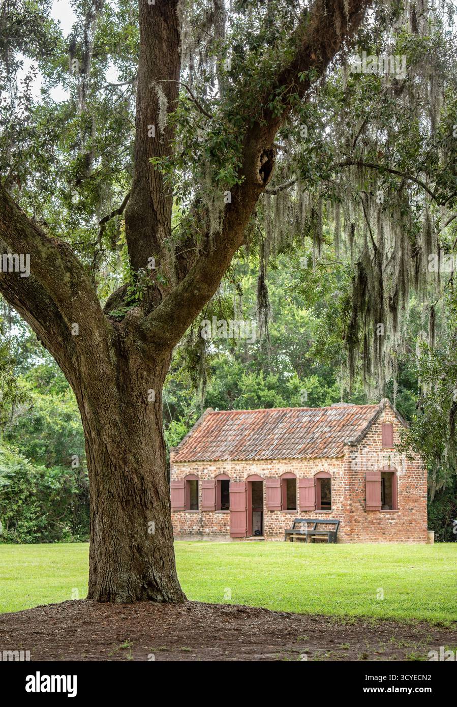 Boone Hall Plantation è un quartiere storico situato a Mount Pleasant, Charleston County, South Carolina Foto Stock