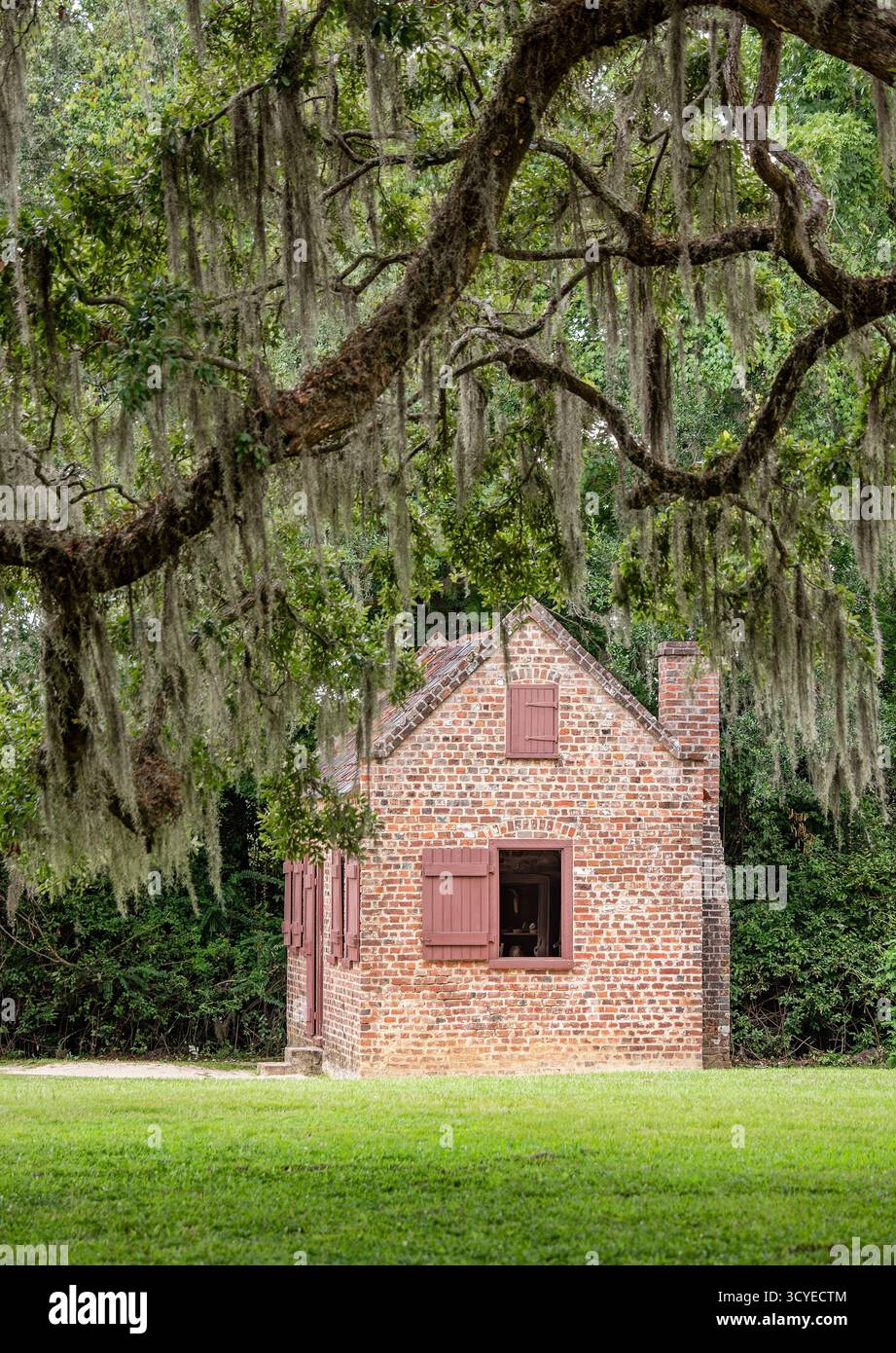 Boone Hall Plantation è un quartiere storico situato a Mount Pleasant, Charleston County, South Carolina Foto Stock