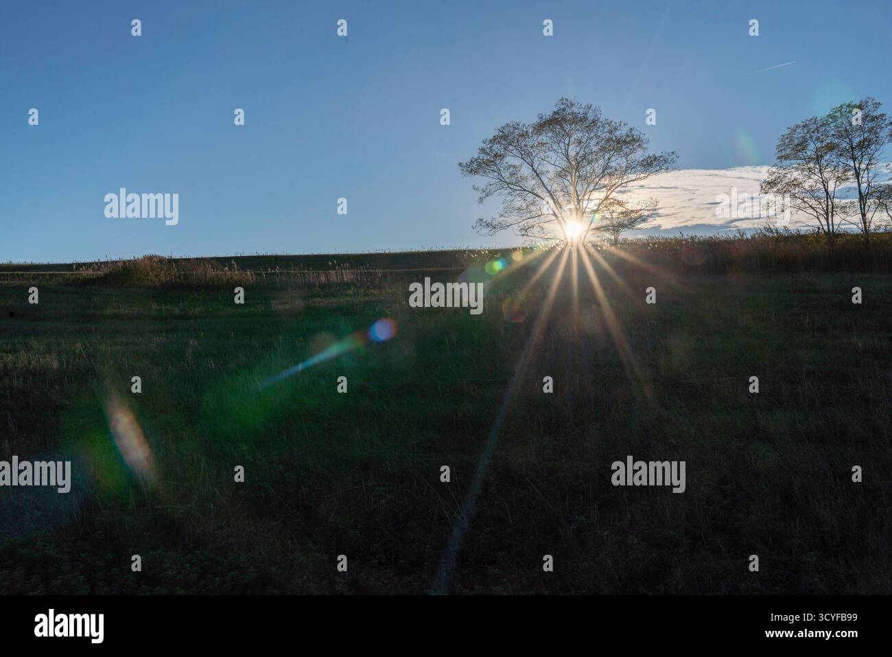 Freshkills un progetto da discarica a parco è un modello per la bonifica sostenibile del terreno. L'apertura prevista per il 2036 sarà il più grande parco di New York. Foto Stock