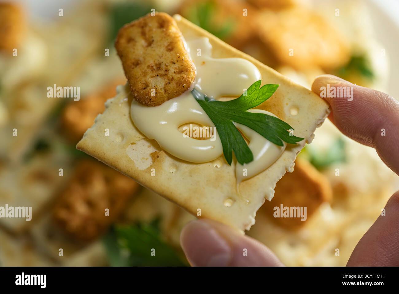 Foto macro di Cracker Biscuit con maionese e foglia di prezzemolo - spuntino sul piatto con mano, vista dall'alto sullo sfondo del cibo Foto Stock Foto macro di Cracker Biscuit con maionese e foglia di prezzemolo - spuntino sul piatto con mano, vista dall'alto sullo sfondo del cibo Foto Stock