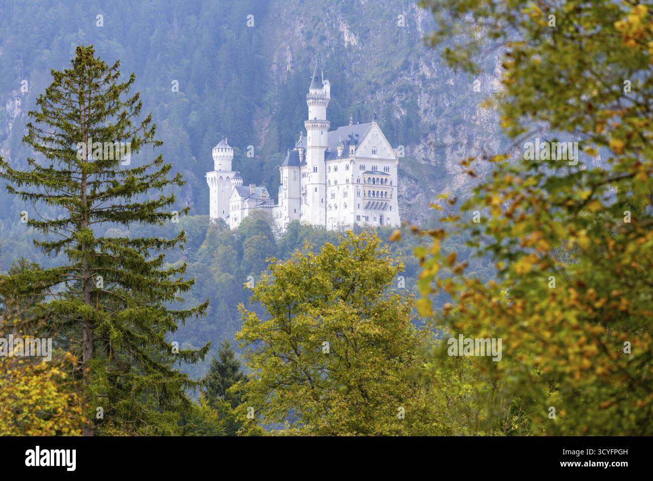 Schloss Neuschwanstein, Schwangau, Romantic Road, Ostallgaeu, Baviera, Germania Foto Stock