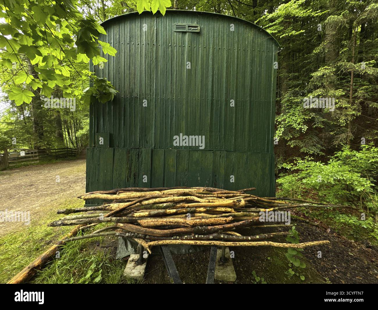 Capannone verde con legno impilato a terra. Il capannone è circondato da alberi e ha un'atmosfera rustica Foto Stock