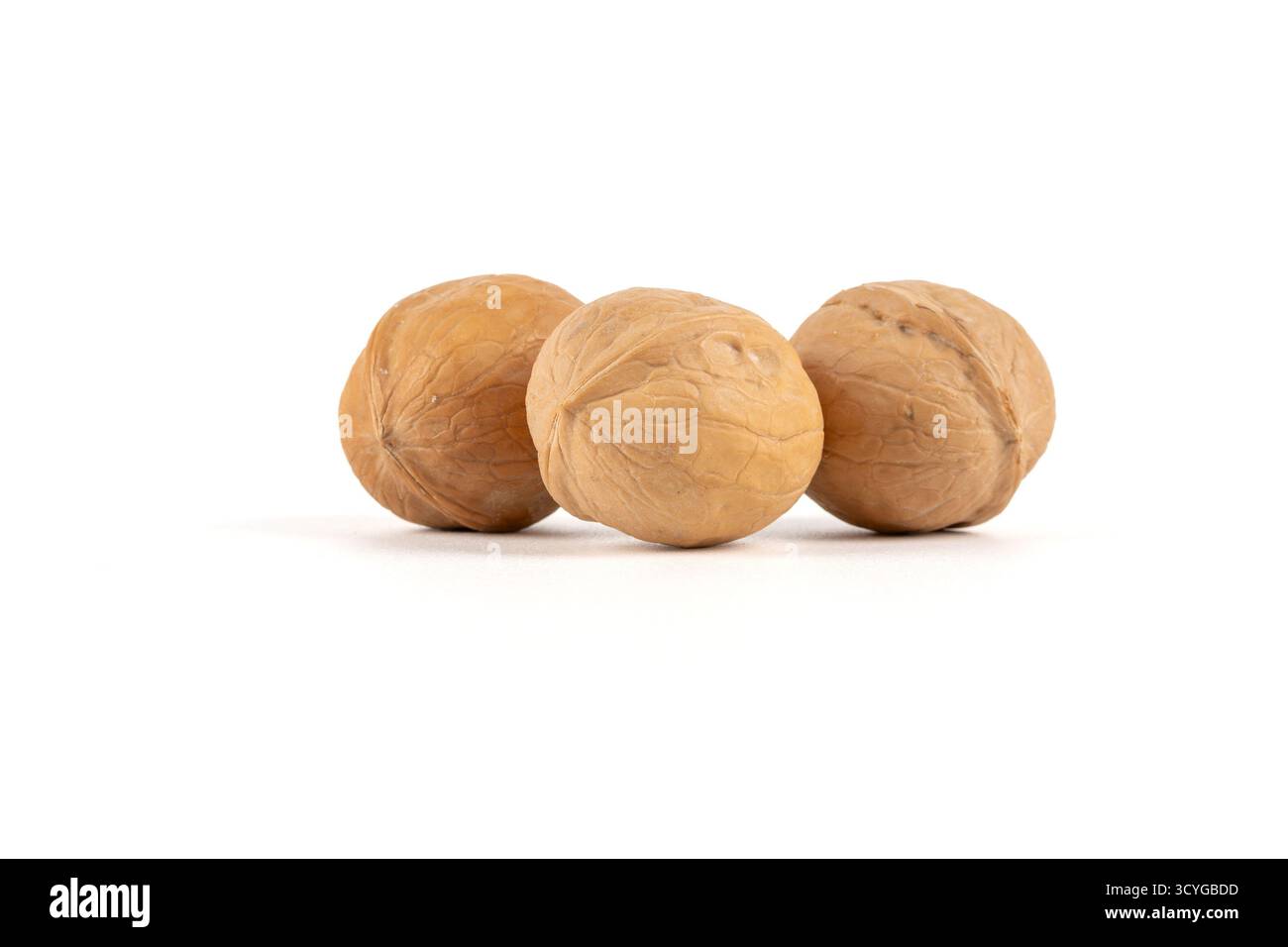Tre noci Juglans regia isolate su sfondo bianco. Le conchiglie naturali ruvide sottolineano la semplicità e la consistenza organica. Foto Stock