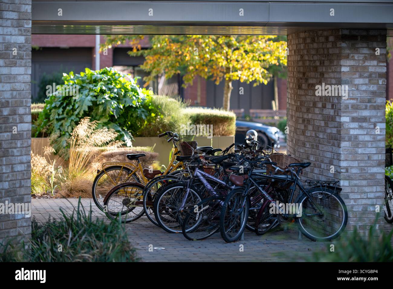 Architettura moderna e contemporanea a Eddington, Università di Cambridge, Inghilterra. Foto Stock