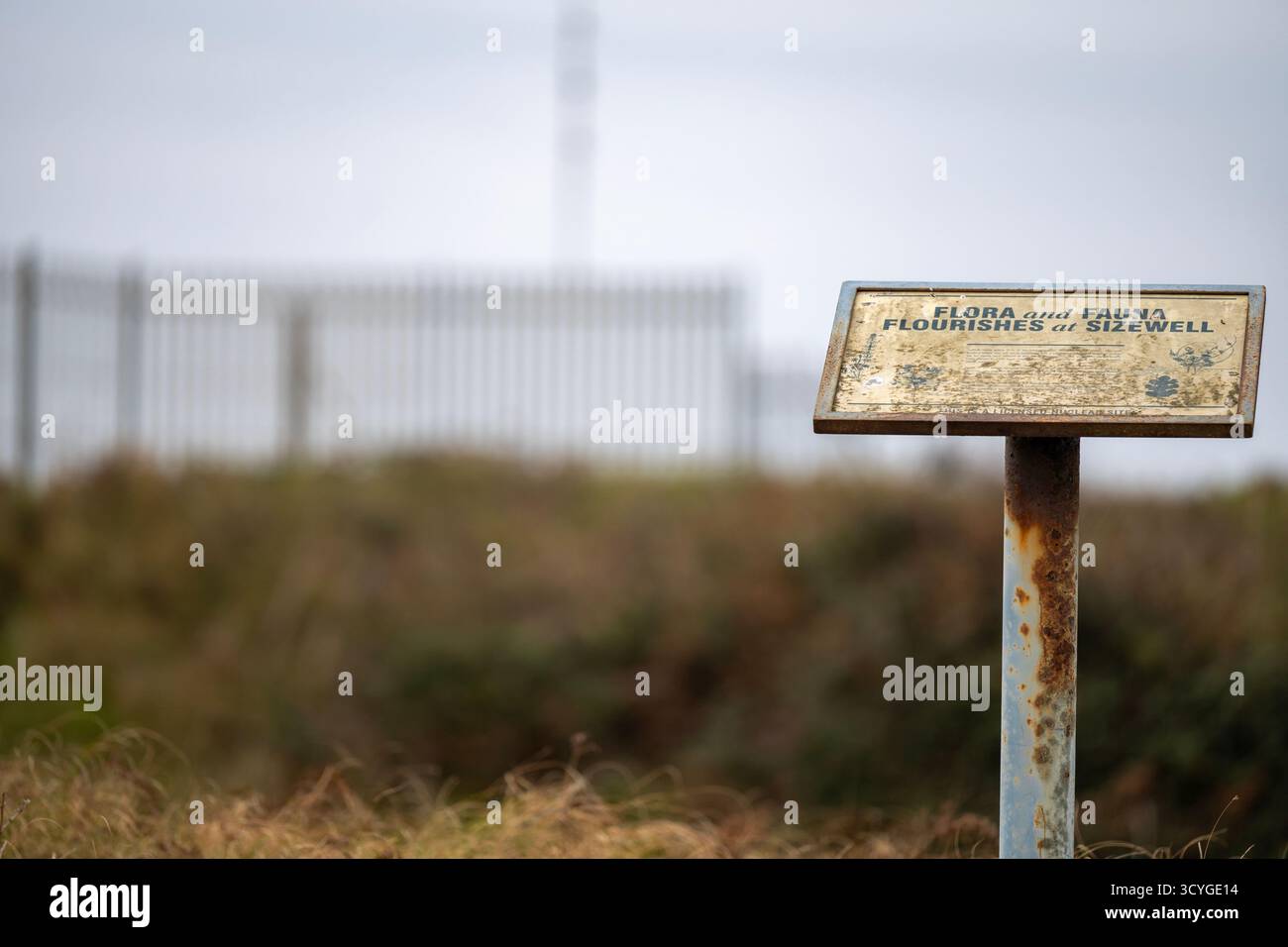 Flora e fauna fioriscono a Sizewell Sign Foto Stock