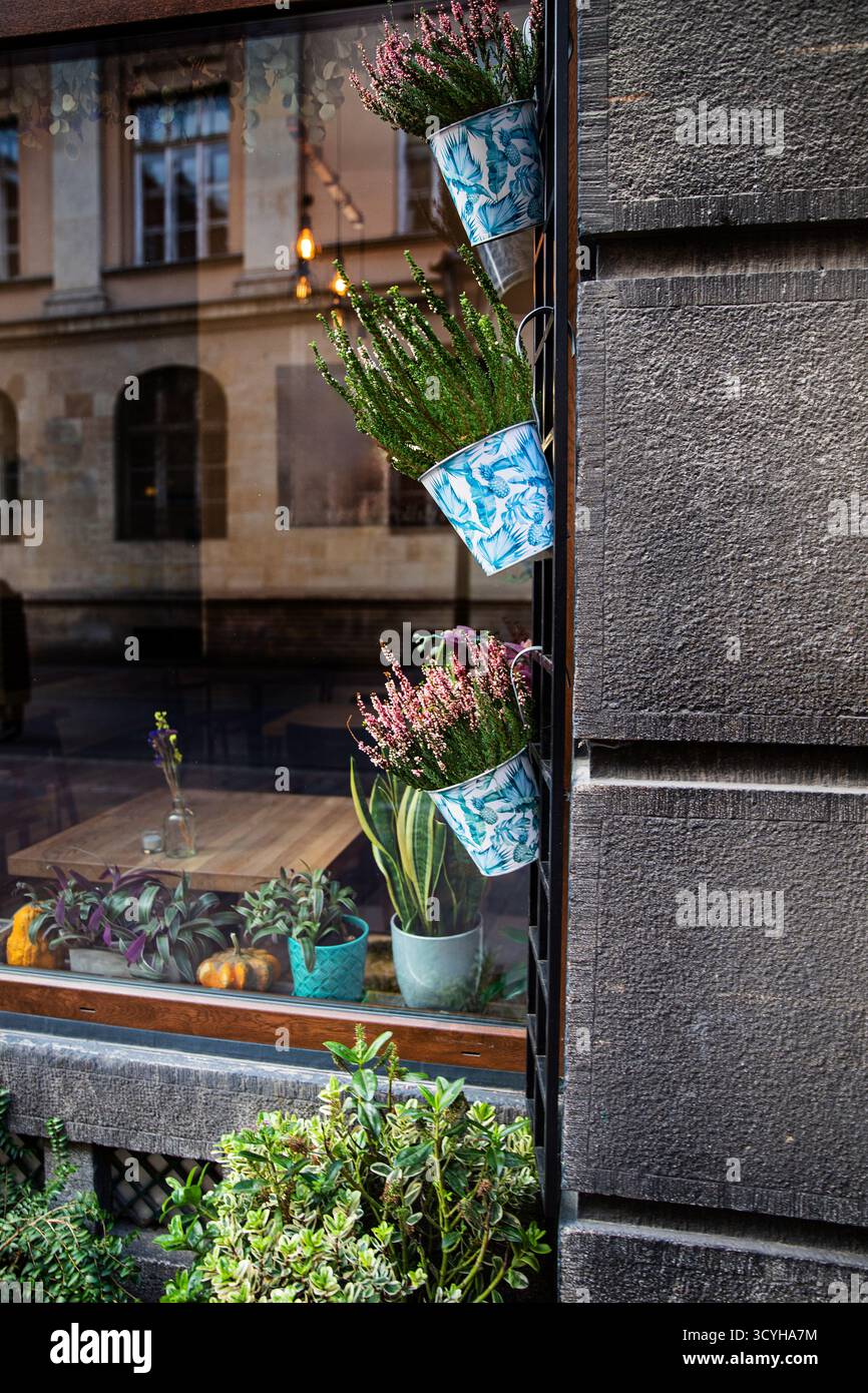 Vasi di fiori appesi sulla facciata, design esterno con piante vive Foto Stock
