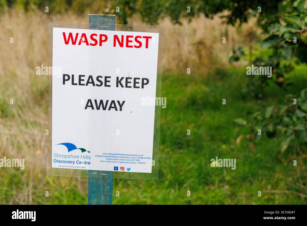 WASP Nest tenere lontano cartello nel frutteto comunitario, Church Stretton, Shropshire, Regno Unito Foto Stock