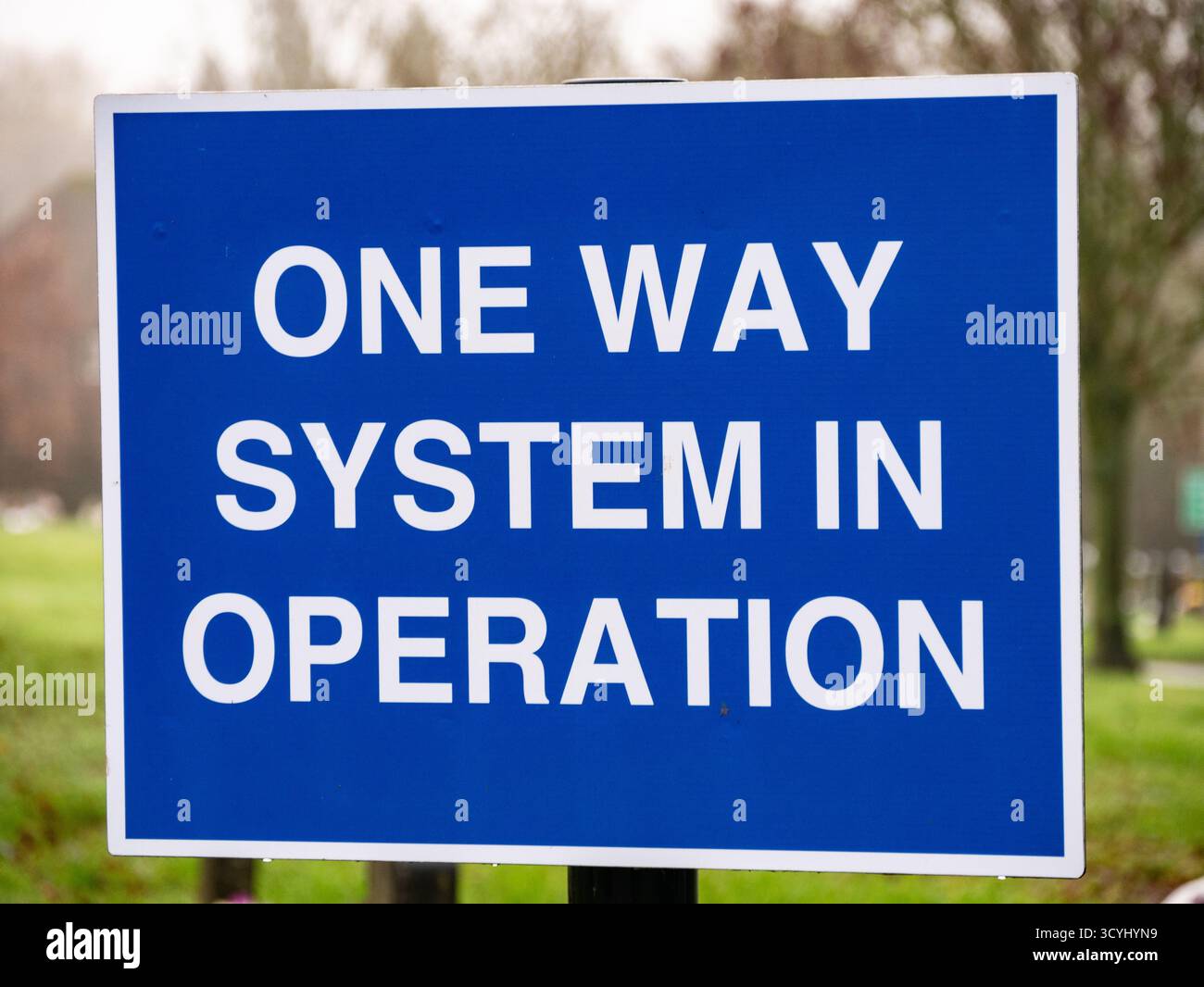 Segnale stradale blu con informazioni sul traffico "sistema unidirezionale in funzione" Foto Stock