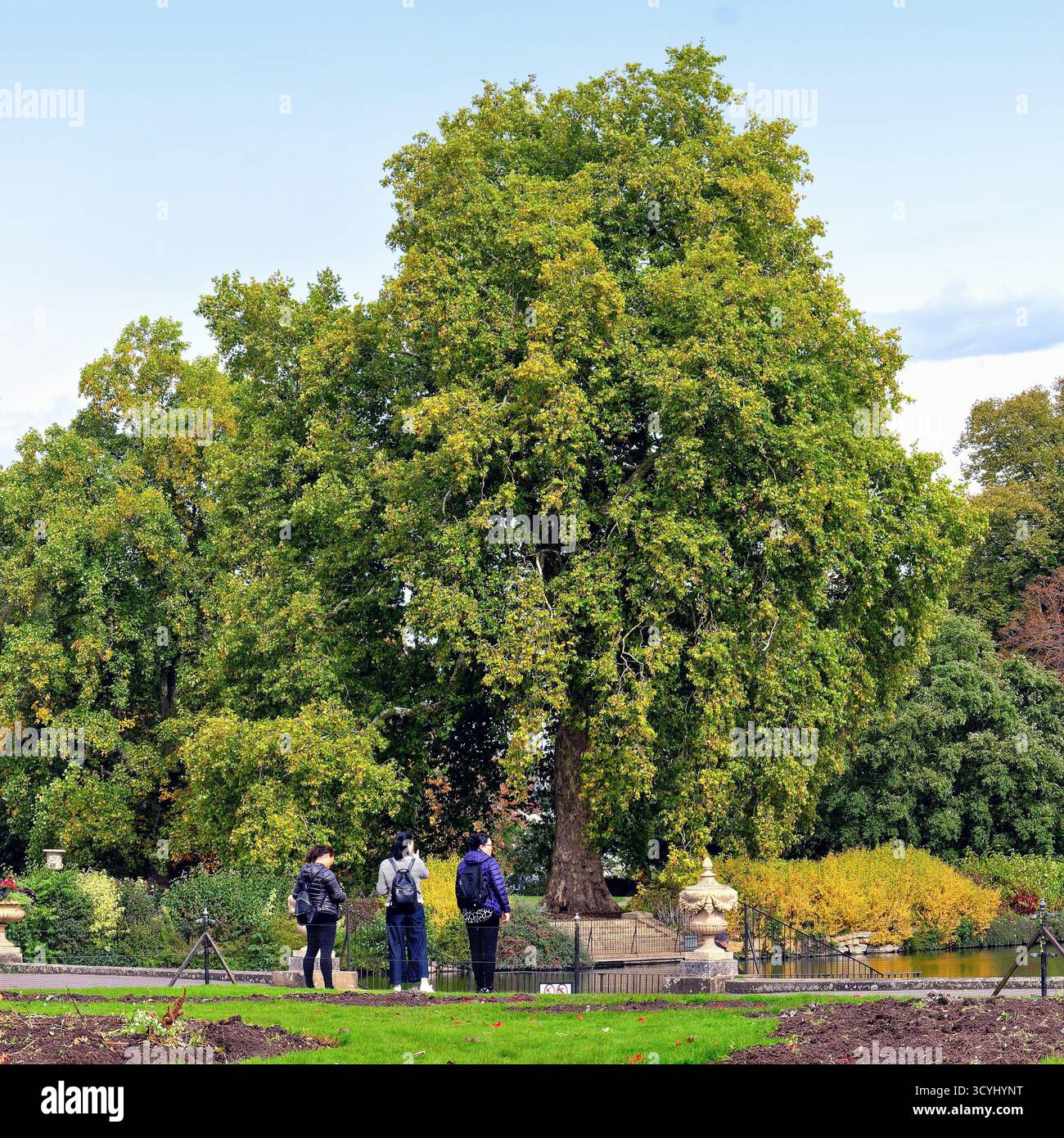 I visitatori ammirano i colori autunnali nei Royal Botanic Gardens Kew Richmond Londra Inghilterra Regno Unito Foto Stock