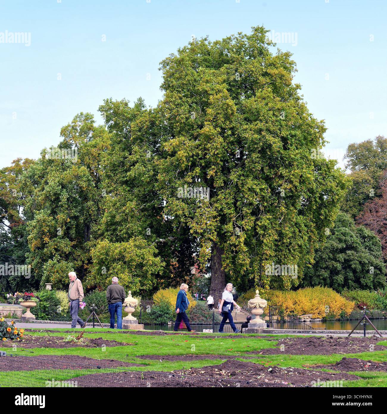 I visitatori ammirano i colori autunnali nei Royal Botanic Gardens Kew Richmond Londra Inghilterra Regno Unito Foto Stock