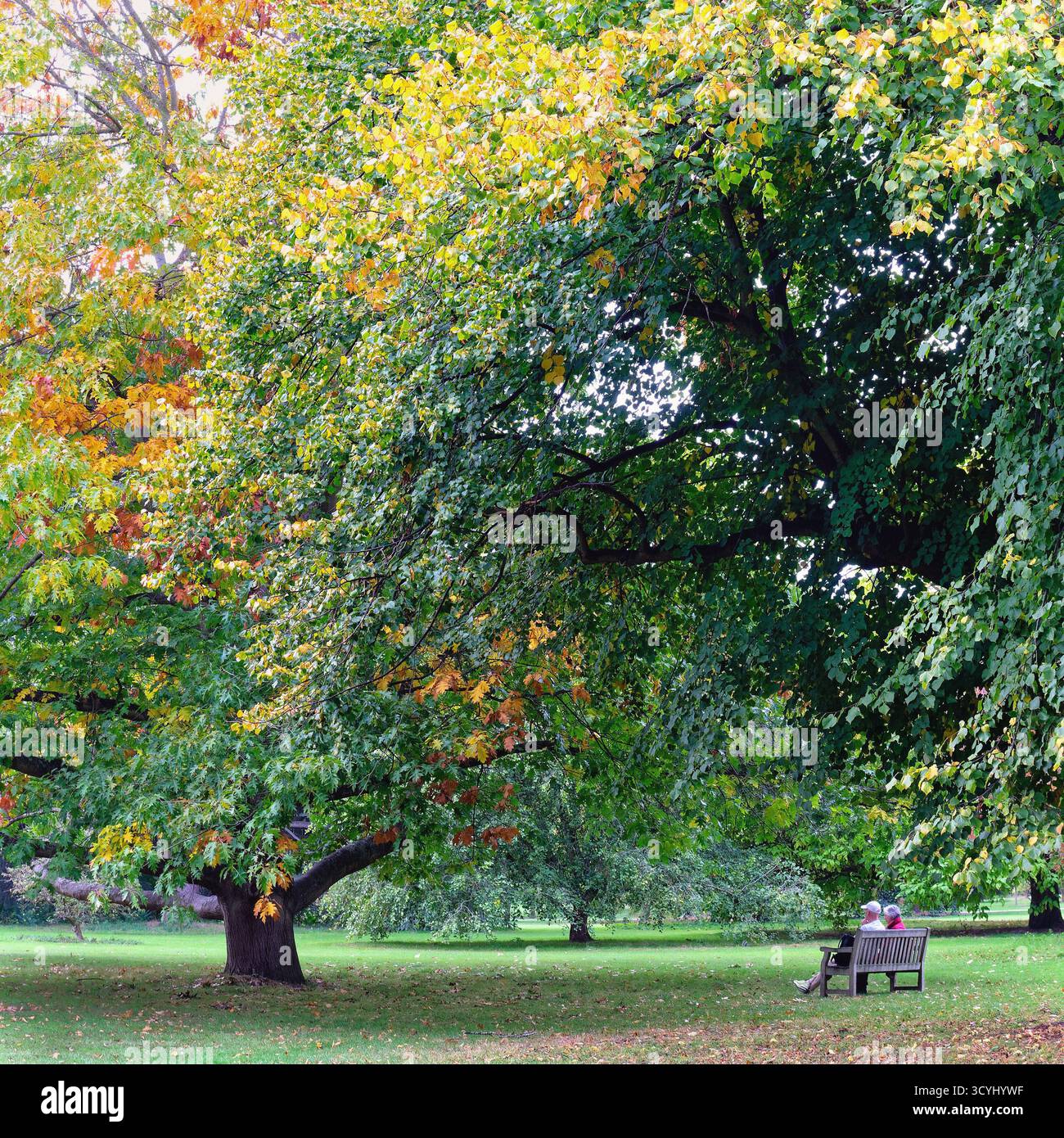 Una coppia seduta su una panchina ammirando il colorato fogliame autunnale nei Royal Botanic Gardens Kew Richmond Londra Inghilterra Regno Unito Foto Stock