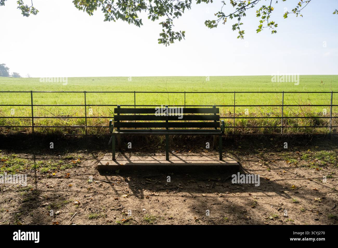 Panchina in legno di fronte a un campo di campagna aperto sotto l'ombra degli alberi nel South Yorkshire rurale, Inghilterra. Foto Stock