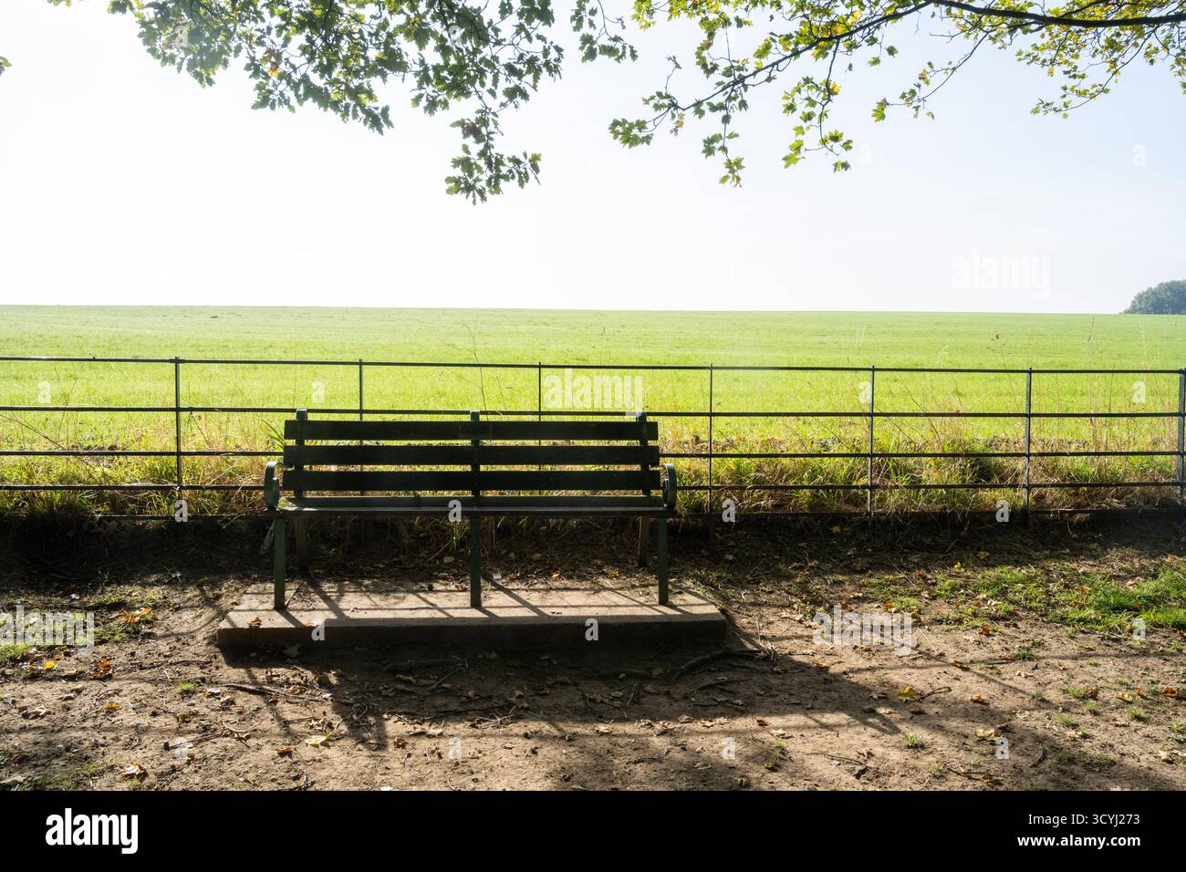 Panchina in legno di fronte a un campo di campagna aperto sotto l'ombra degli alberi nel South Yorkshire rurale, Inghilterra. Foto Stock