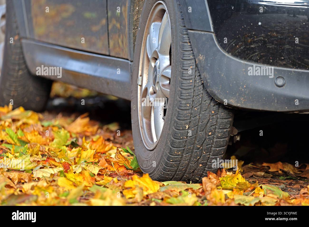 Laub auf Straßen und an Straßenrändern Das Rad eines Autos befindet sich inmitten vom Herbstlaub *** lascia sulle strade e ai lati della strada la ruota di un'auto è circondata da foglie autunnali Foto Stock