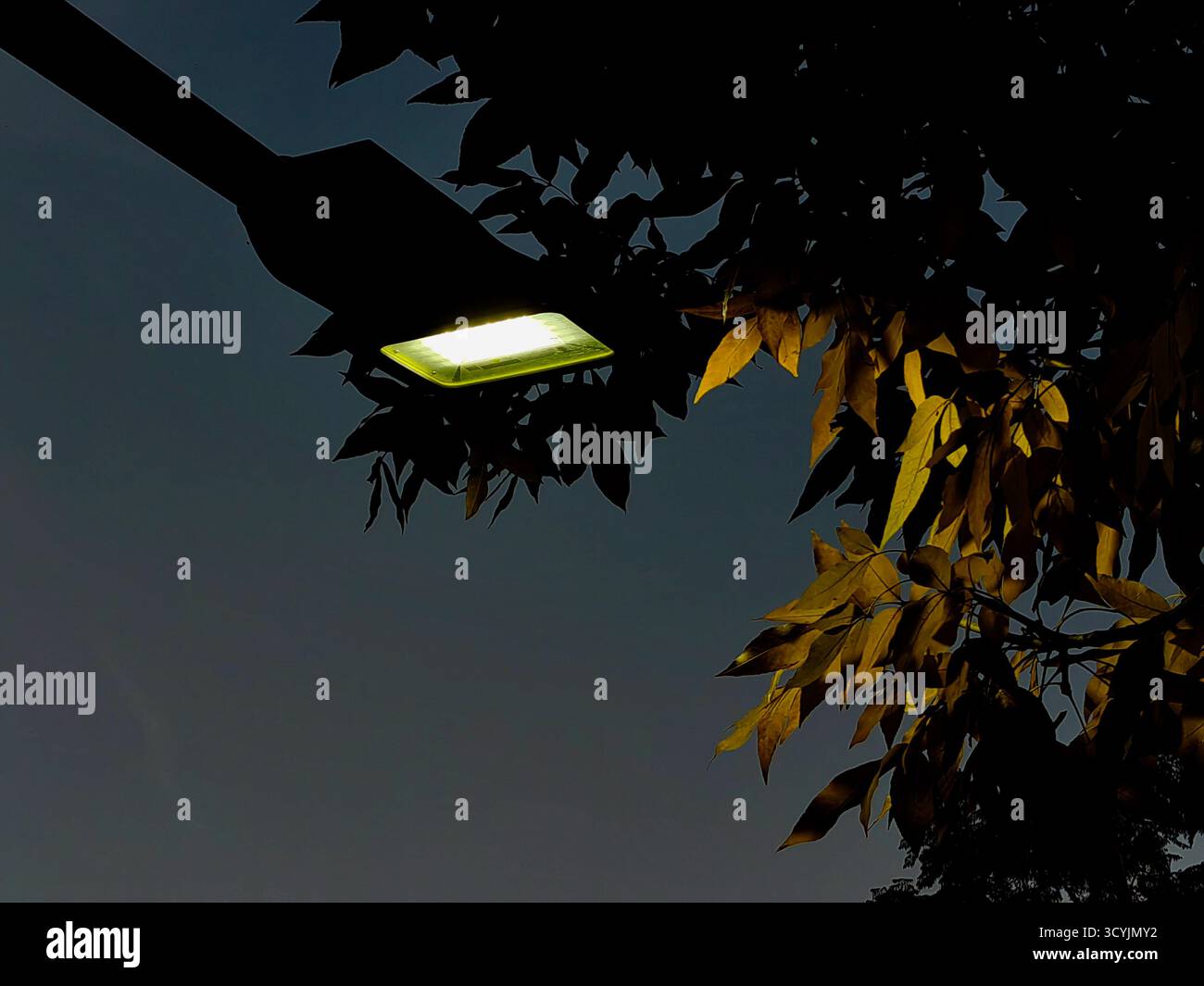 Luce autunnale. Di notte. Foto Stock