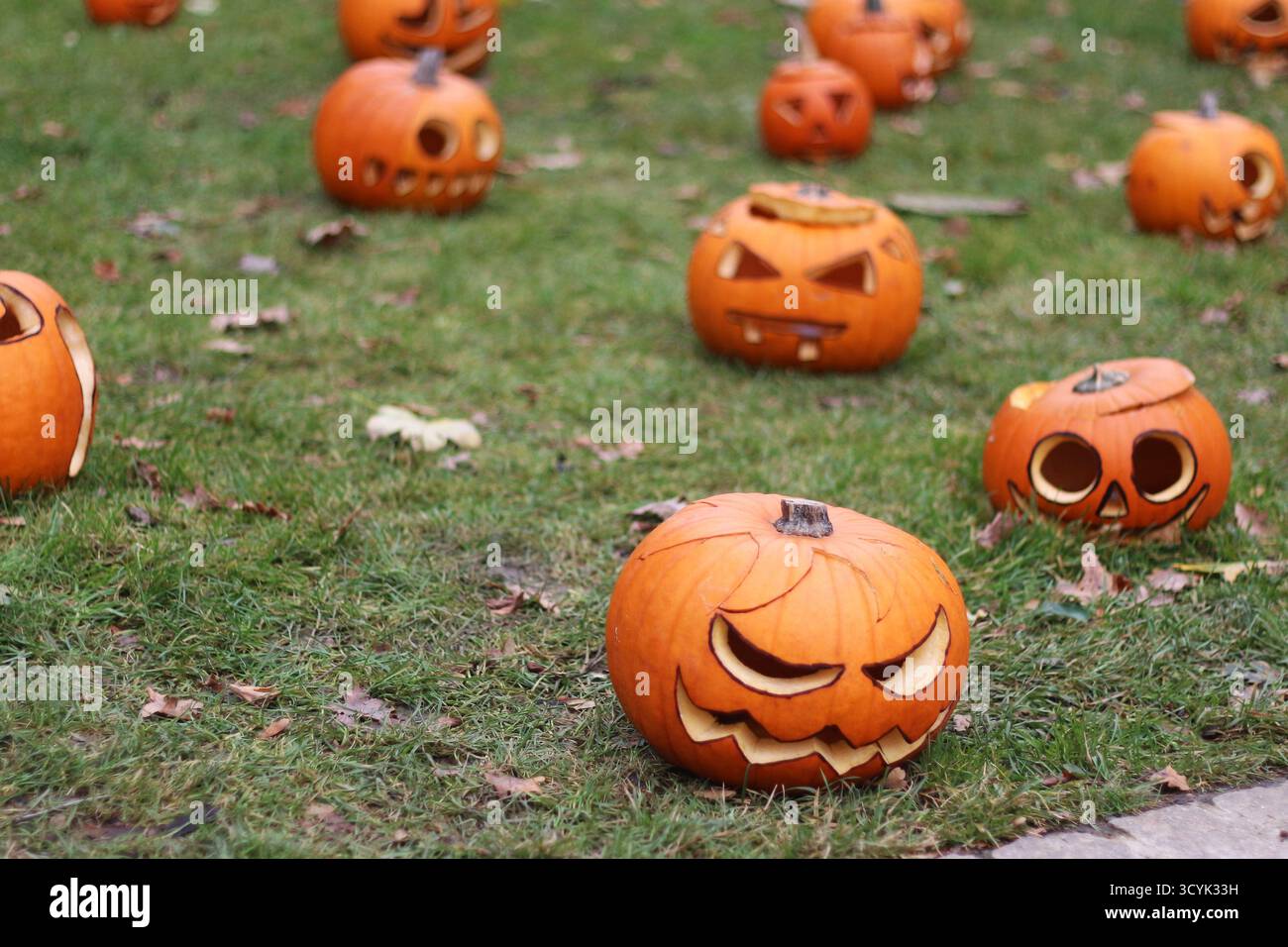 Lanterne di Halloween scolpite con facce inquietanti sull'erba verde esterna Foto Stock