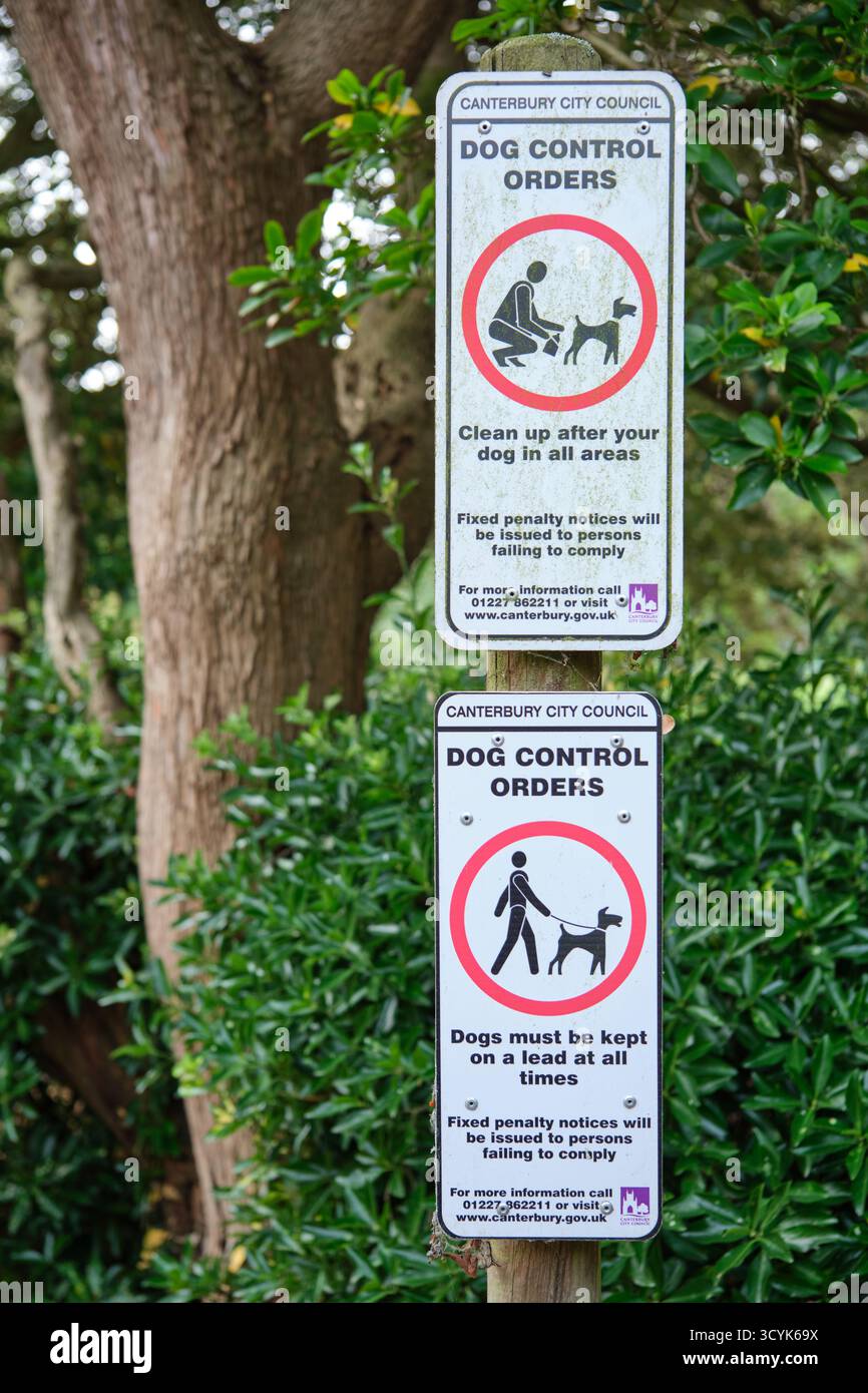 Cartelli di controllo per cani emessi dal Consiglio comunale di Canterbury che ricordano ai proprietari di pulire i rifiuti e tenere i cani sempre in contatto nelle aree pubbliche Foto Stock