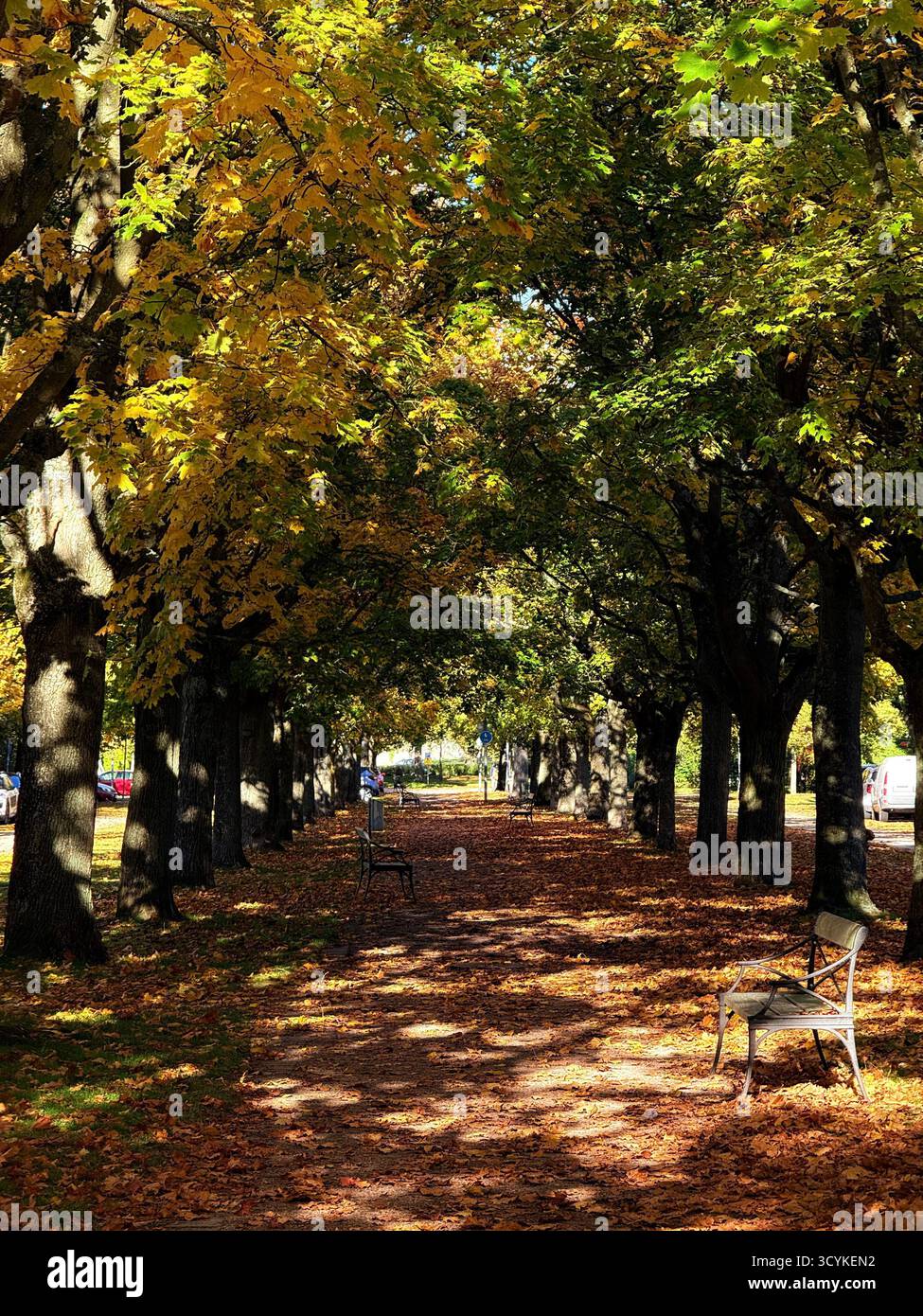 Ci siamo appena camminati e ho pensato che fosse bello, quindi ho dovuto scattare una foto. - Immagine stock catturata con smartphone