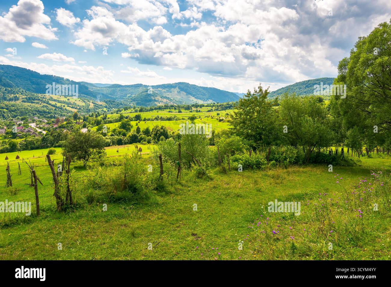 campi rurali sulle colline ondulate dell'ucraina in estate. ampio paesaggio di campagna di transcarpathia con recinzioni a bastone in luce soffusa. villa uzhok Foto Stock