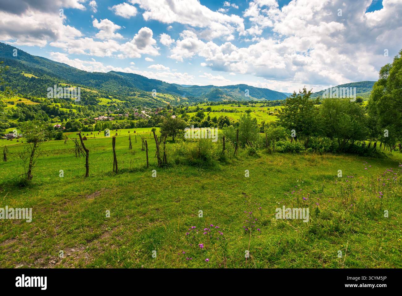 campi rurali sulle colline ondulate dell'ucraina in estate. ampio paesaggio di campagna di transcarpathia con recinzioni a bastone in luce soffusa. villa uzhok Foto Stock