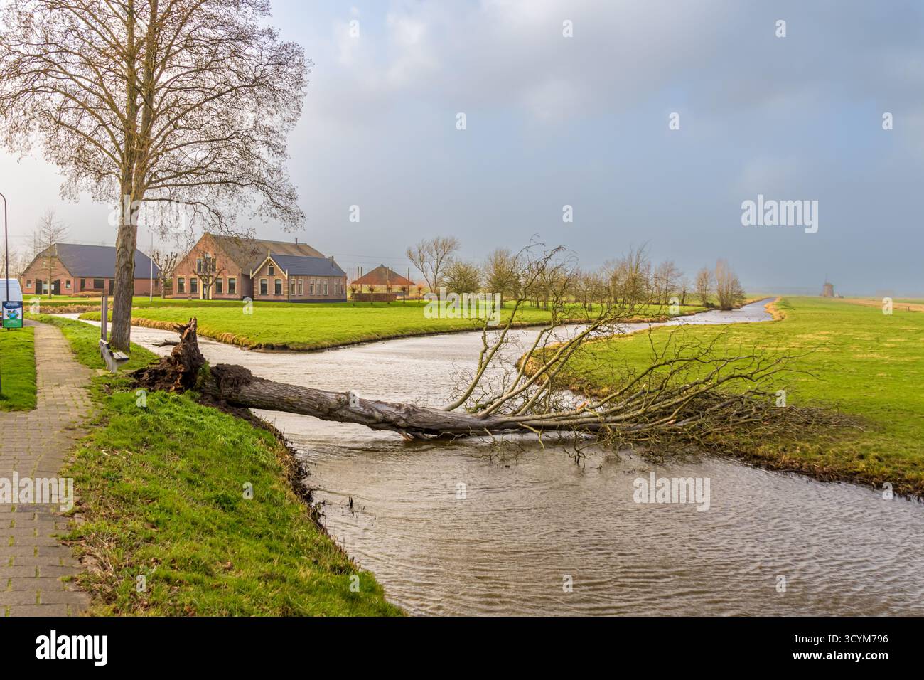 Un albero è stato soffiato sopra e finito in acqua durante la tempesta Eunice nel 2022 Foto Stock