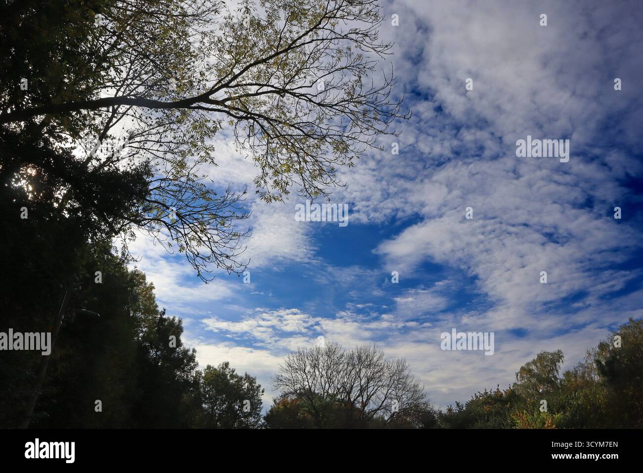 Wolkenfelder bei ruhigem Wetter Ein wechselhafter Herbsttag und mit Sonnenlücken und hohen Wolken am Himmel. Essen Nordrhein-Westfalen Deutschlande Ruhrtal *** campi di nuvole con il tempo calmo Una giornata autunnale mutevole con vuoti di sole e alte nuvole nel cielo Essen Renania settentrionale-Vestfalia Germania Ruhr Valley Foto Stock