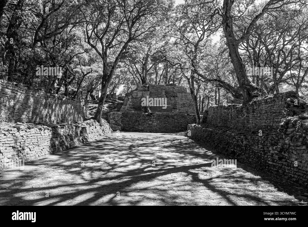 Sito archeologico di Toluquilla. Sierra Gorda, Querétaro, Messico Foto Stock