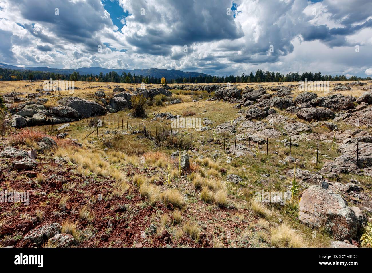 Breccia basaltica (flusso aa), Springerville Volcanic Field, lungo la AZ-260 a ovest di Greer, White Mountains, Arizona, USA. Foto Stock