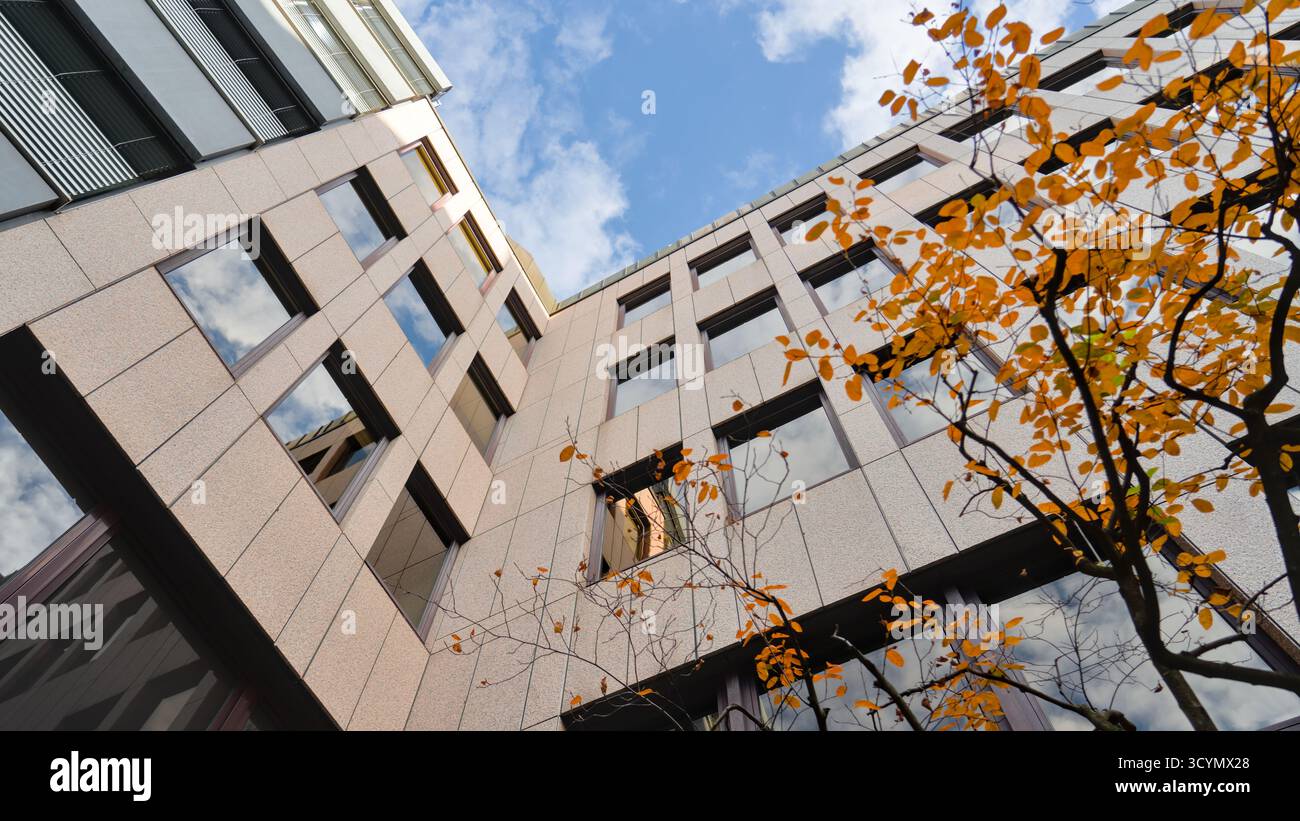 Architettura moderna della città con dettagli autunnali, che combinano design urbano contemporaneo e colori stagionali. Foto Stock