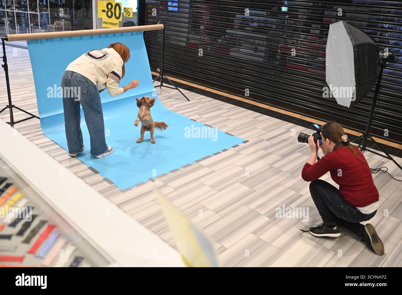 Varsavia, Polonia. 19 ottobre 2025. Un fotografo scatta foto per una donna e il suo cane durante la vendita di forniture per animali a Varsavia, Polonia, 19 ottobre 2025. La vendita di beneficenza, in collaborazione con le organizzazioni locali per la protezione degli animali, è regolarmente organizzata per sostenere i rifugi per animali in diverse città della Polonia. Crediti: Aleksy Witwicki/Xinhua/Alamy Live News Foto Stock
