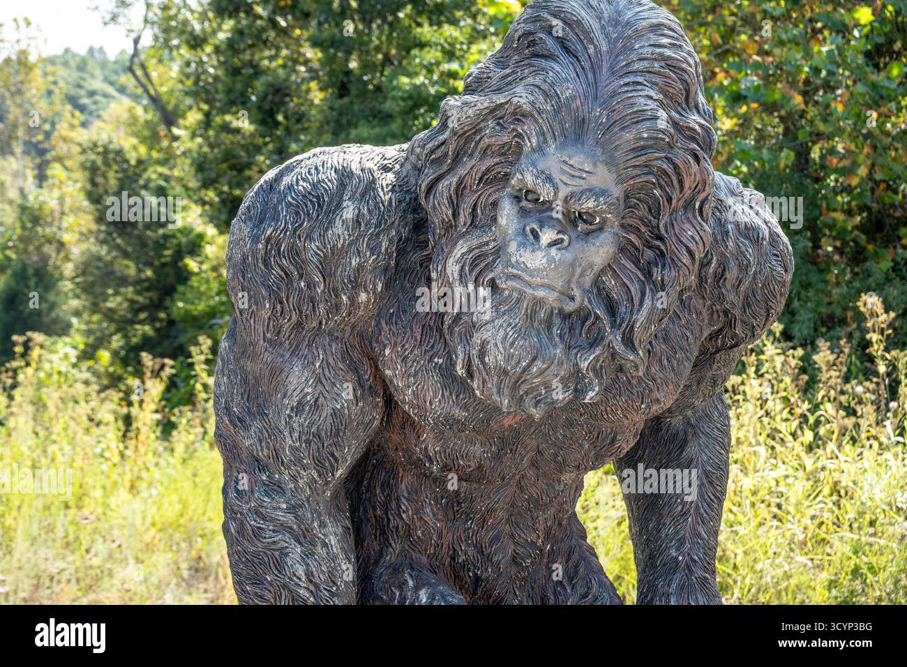 Statua di Bigfoot a lato della strada nella Shawnee National Forest vicino al Garden of the Gods nell'Illinois meridionale. (USA) Foto Stock