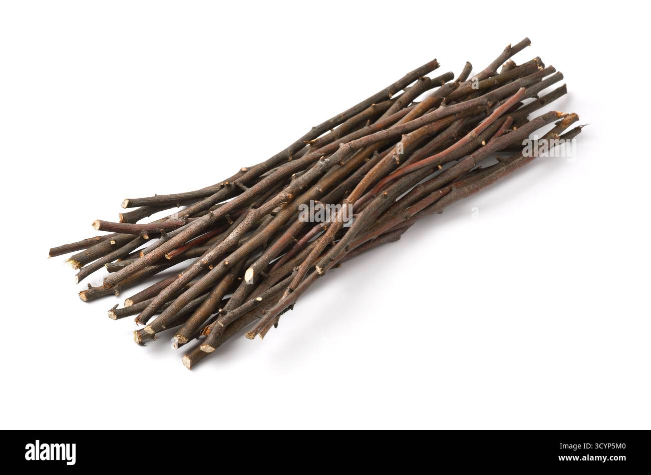 Mucchio di ramoscelli di legno asciutti isolati su bianco Foto Stock