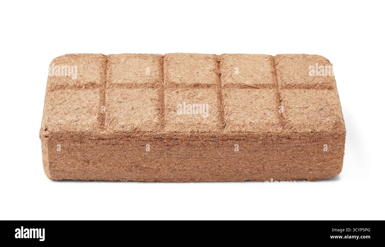 Bricchetti di torba di cocco pressati isolati su bianco Foto Stock