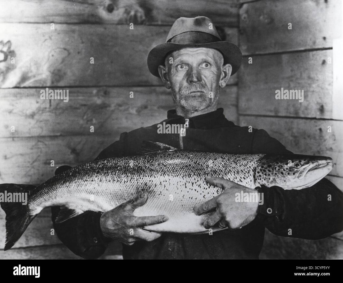 Pescatore con salmone grande, presumibilmente un salmone reale o quinnat (Oncorhynchus tshawytscha), ca. 1930, USA Foto Stock Pescatore con salmone grande, presumibilmente un salmone reale o quinnat (Oncorhynchus tshawytscha), ca. 1930, USA Foto Stock