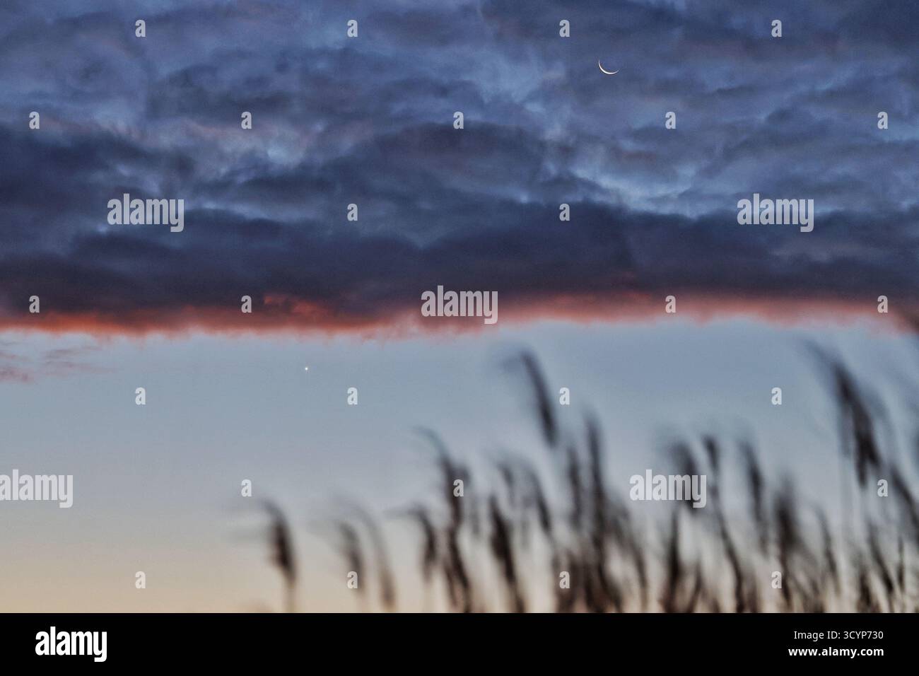 Harbin. 19 ottobre 2025. Questa foto scattata il 19 ottobre 2025 mostra il pianeta di Venere vicino alla luna nel cielo sopra Tongjiang City, nella provincia di Heilongjiang nella Cina nord-orientale. Crediti: Liu Wanping/Xinhua/Alamy Live News Foto Stock