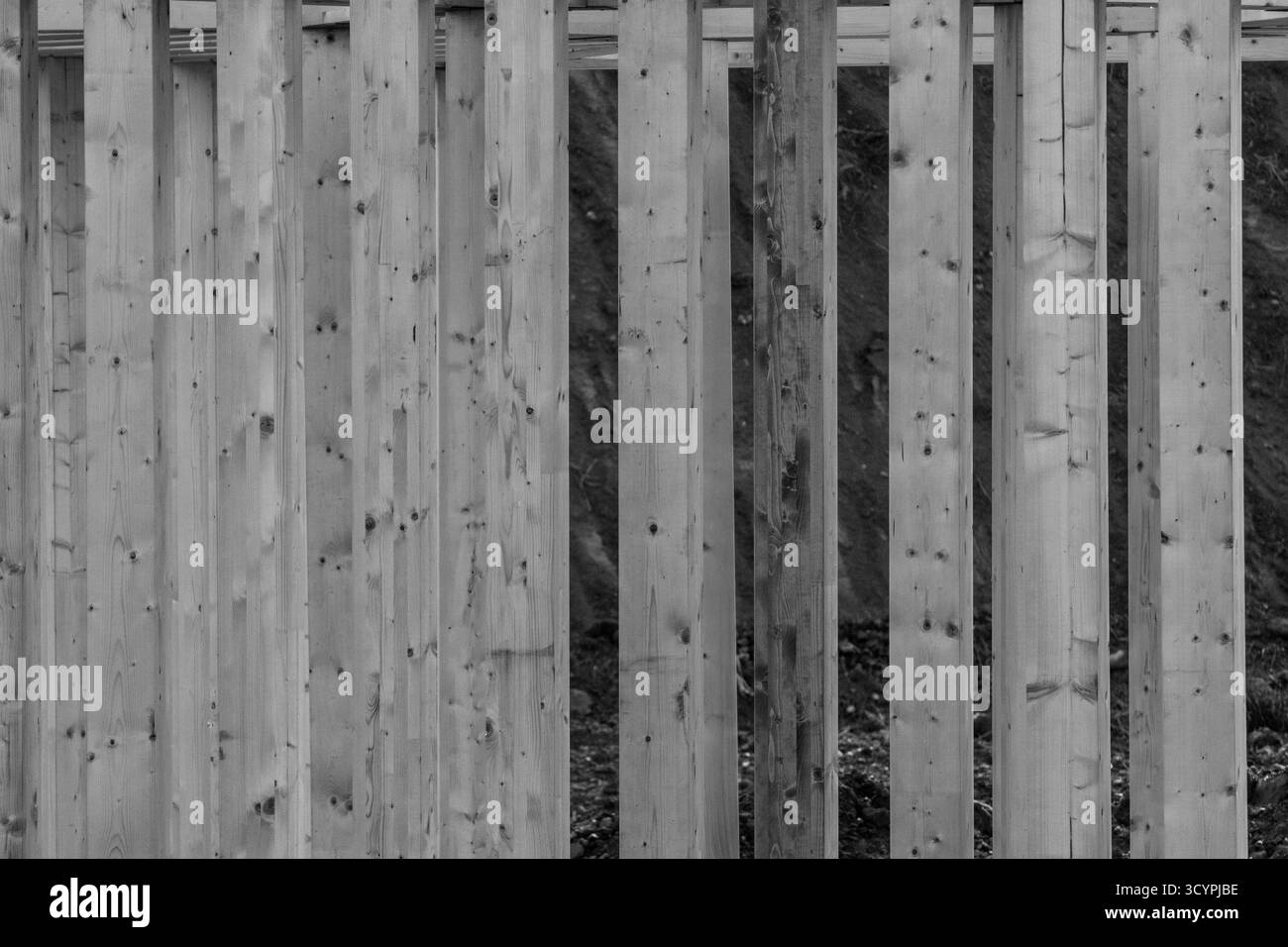 Costruire la Summer House. Tonalità monocromatiche. Foto Stock