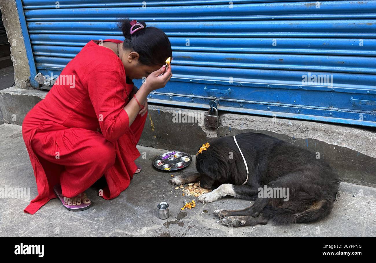 Kathmandu, Nepal. 20 ottobre 2025. Un cane è adorato durante Kukur Tihar, secondo giorno del festival Tihar a Kathmandu, Nepal, il 20 ottobre 2025. Il secondo giorno di Tihar, chiamato Kukur Tihar, è dedicato al culto dei cani. In questo giorno, le persone adorano i cani per compiacere Yama, il dio della morte, in quanto sono considerati i suoi messaggeri. Tihar, la festa indù dei fiori e delle luci, viene celebrata per cinque giorni. (Credit Image: © Sunil Sharma/ZUMA Press Wire) SOLO PER USO EDITORIALE! Non per USO commerciale! Foto Stock